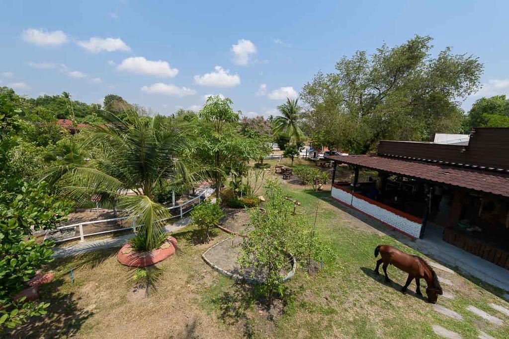 Cowboy Farm Resort Pattaya Banhuajjaj Kültér fotó