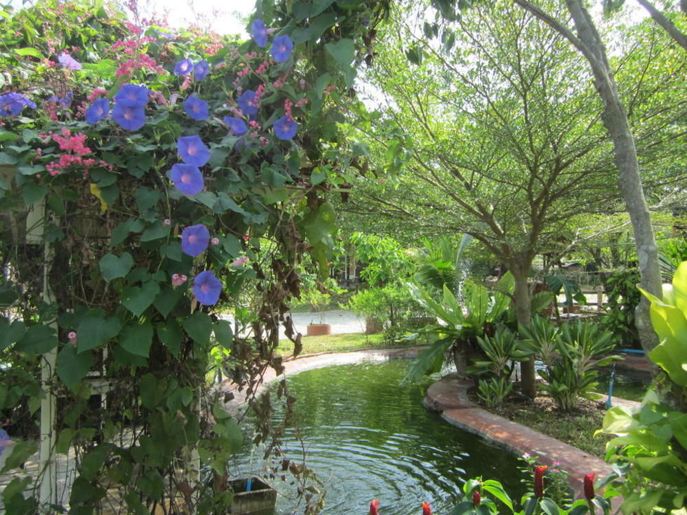 Cowboy Farm Resort Pattaya Banhuajjaj Kültér fotó