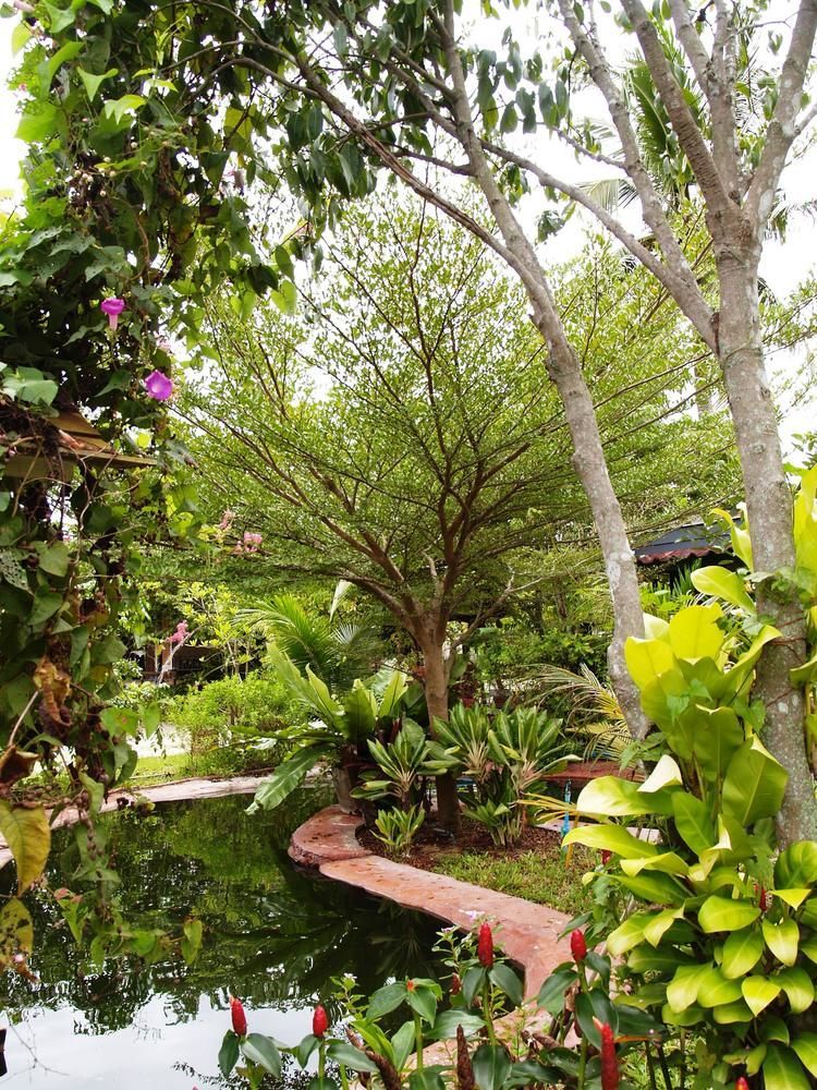 Cowboy Farm Resort Pattaya Banhuajjaj Kültér fotó